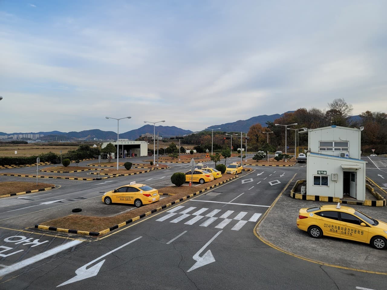 Branch image 1