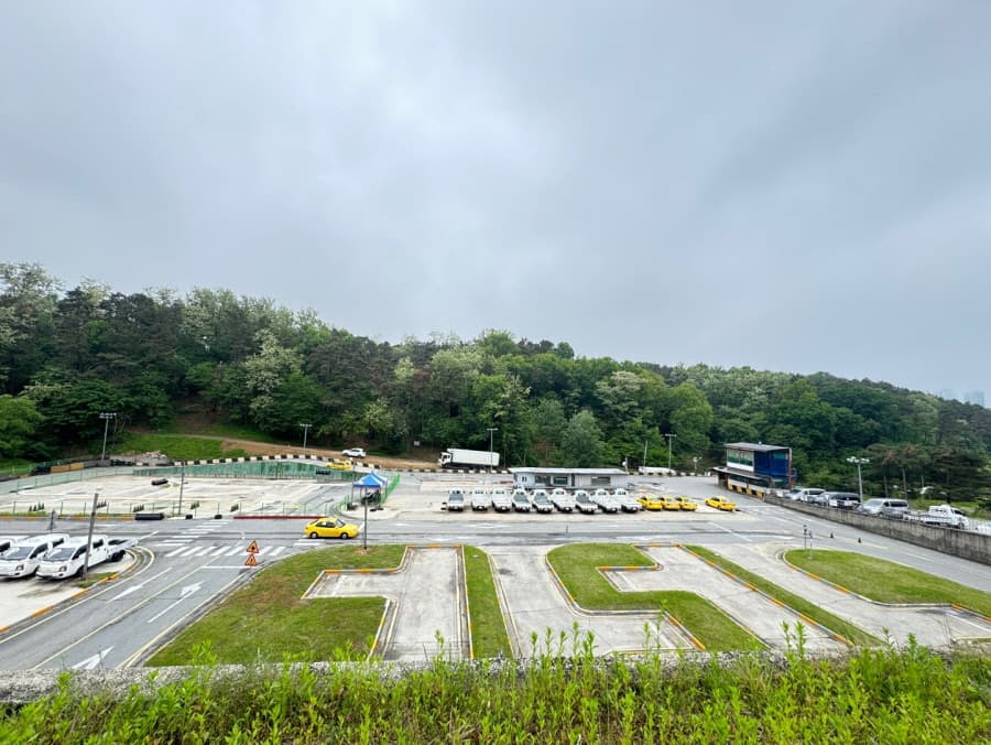 Branch image 1