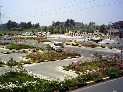 Branch image 1