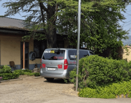 Branch image 1