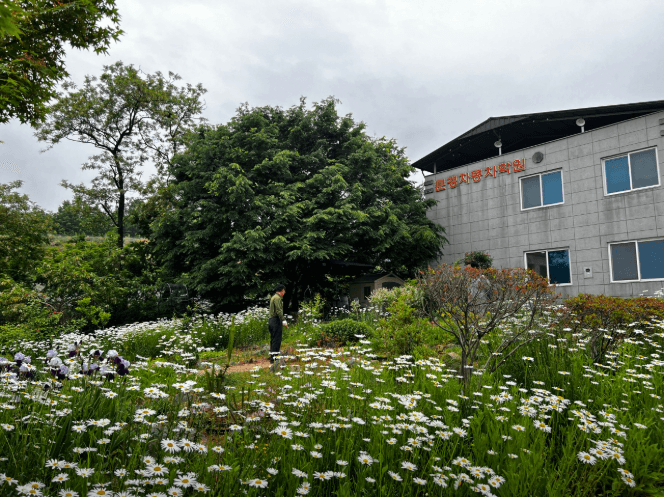 Branch image 1